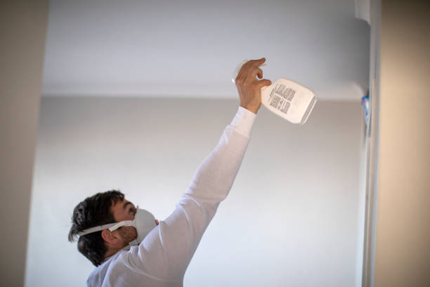 Best Emergency Mold Remediation in Adrian, MI