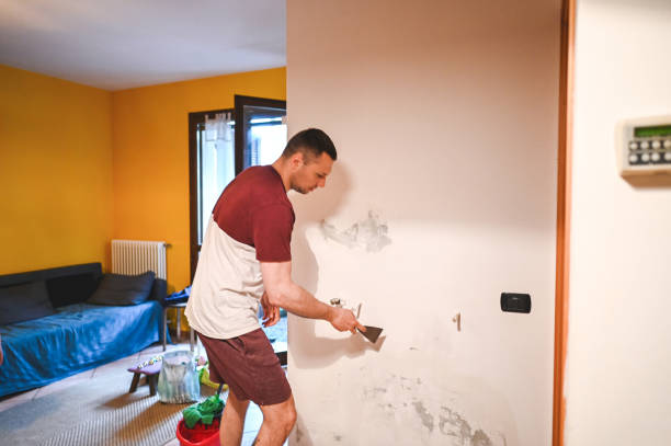 Best DIY Mold Remediation Support Services in Adrian, MI